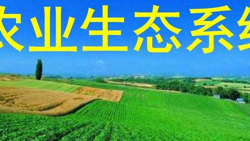 有机肥品牌评价：如何挑选合适的产品**