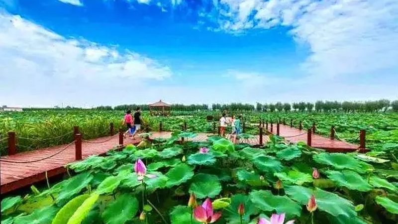 果蔬配送合同范本：如何规避风险，保障供应链稳定