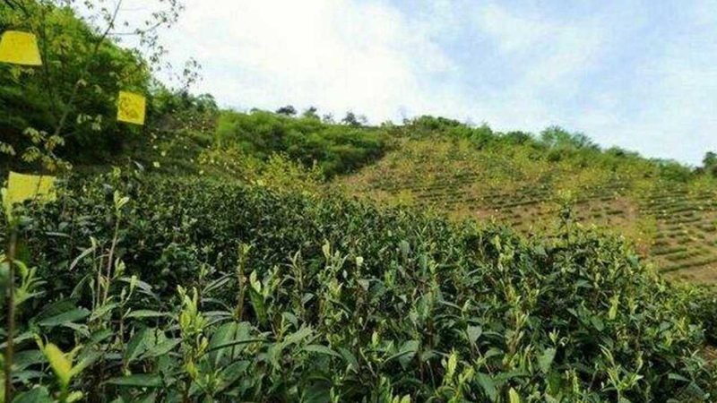 选择果蔬供应商时，首先要关注其产品品质。可以从以下几个方面进行考察：