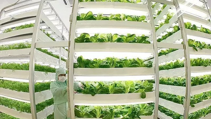 江西农业有限公司