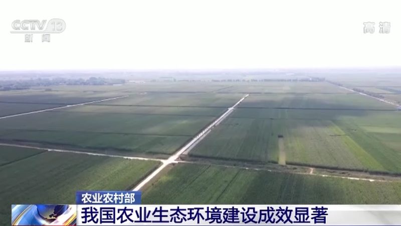 大豆种植机械化设备：型号规格解析与选型要点
