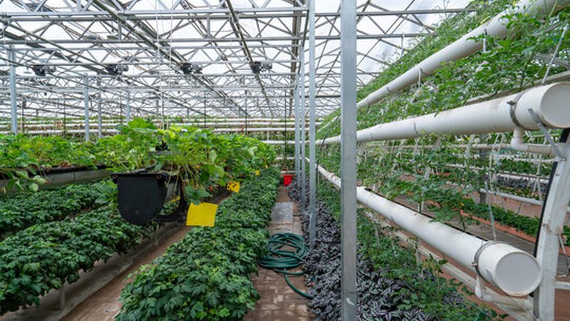 有机农业种植技术培训方法