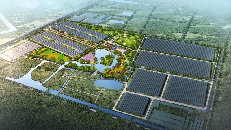 生鲜配送蔬菜水果批发报价单模板：构建高效供应链的关键