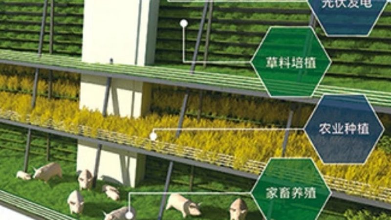 农业合作社理事长职责清单：如何高效引领农业合作发展