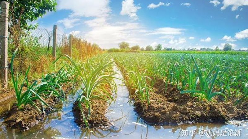 生鲜配送客服岗位职责解析
