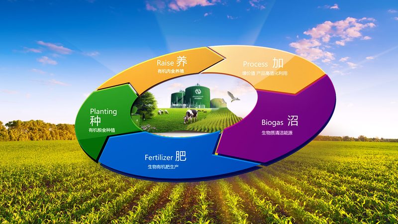 合作社农机补贴价格范围全解析：补贴政策与选购要点