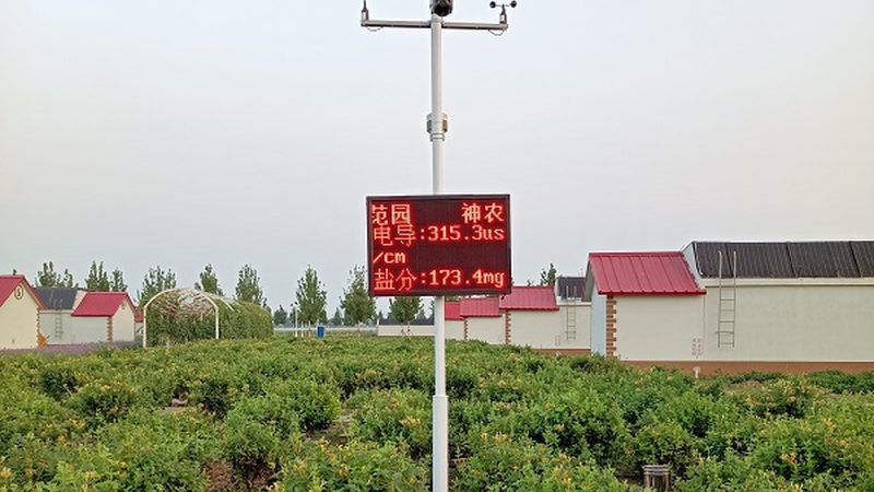 家庭农场休闲体验：如何打造受欢迎的项目？**