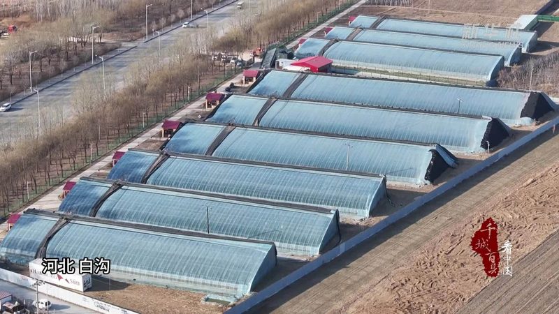 农产品线上线下融合：新趋势下的机遇与挑战