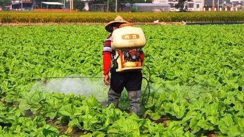 水果批发市场税收优惠申请方法解析