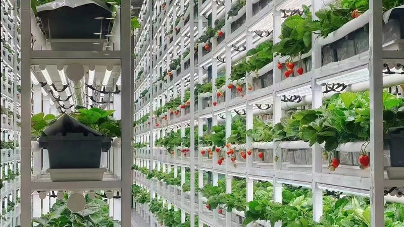 无土农业种植柱：规格分类与选型要点