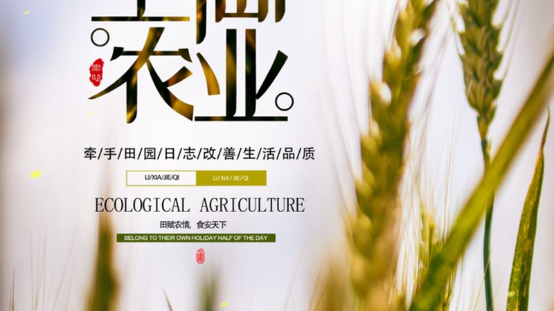亩产成本比：关键指标